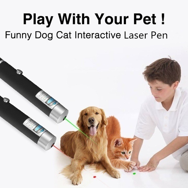 5MW lazer işaretçi kalem parti iyilik komik kedi oyuncak açık kamp öğretim konferansı malzemeleri evcil hayvan malzemeleri 3 renk dh985
