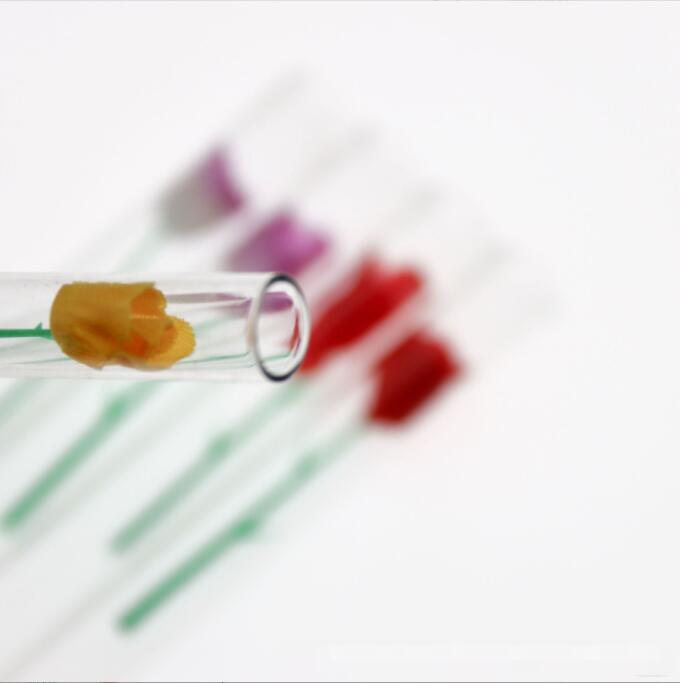 Accessoires de fumer de tube de tuyau en verre de Rose d'amour épais avec le brûleur à mazout de Loverose de fleur en plastique pour des narguilés Bongs Pipes à main / box