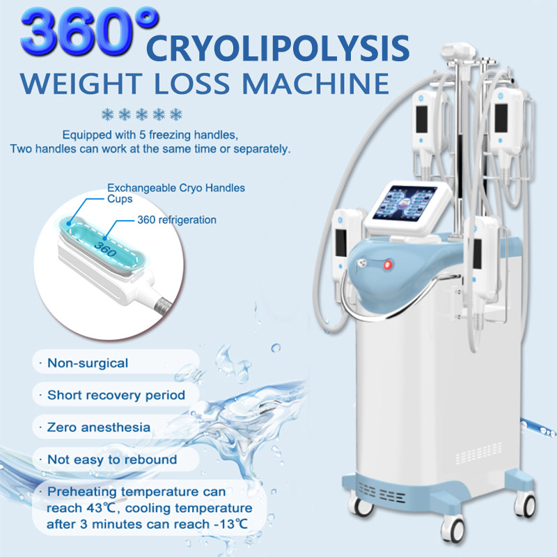 Cryolipoliza zamraża tłuszcz Rozpurzenie odchudzania ciała Schodowanie Cryo Piękna maszyna