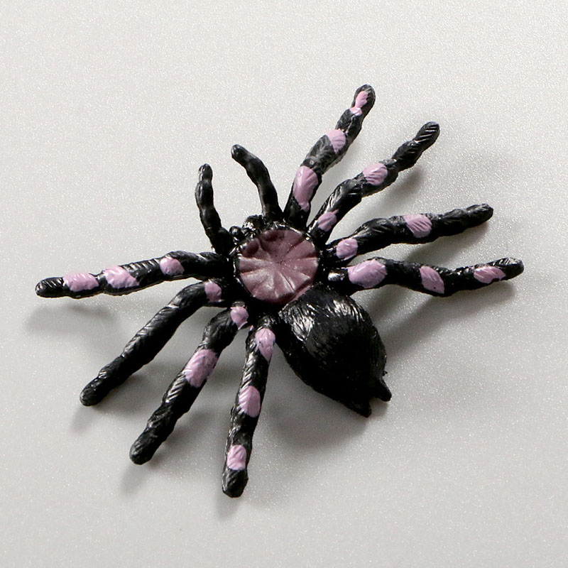 Simülasyon örümcek modeli oyuncak dekoratif sahne örümcekleri modeller süslemeler şaka hile komik oyuncaklar cadılar bayramı parti dekorasyonları çocuklar eğitim oyuncakları öğrenmek
