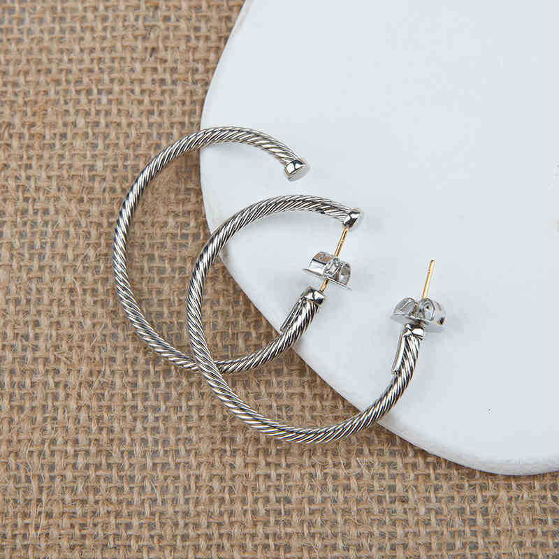 Gold Stud Earring Sieraden Fashion Hoops White Dy Silver Women Sieraden ED Draad oorbellen Ontwerpers veelzijdige vergulde naald T336P