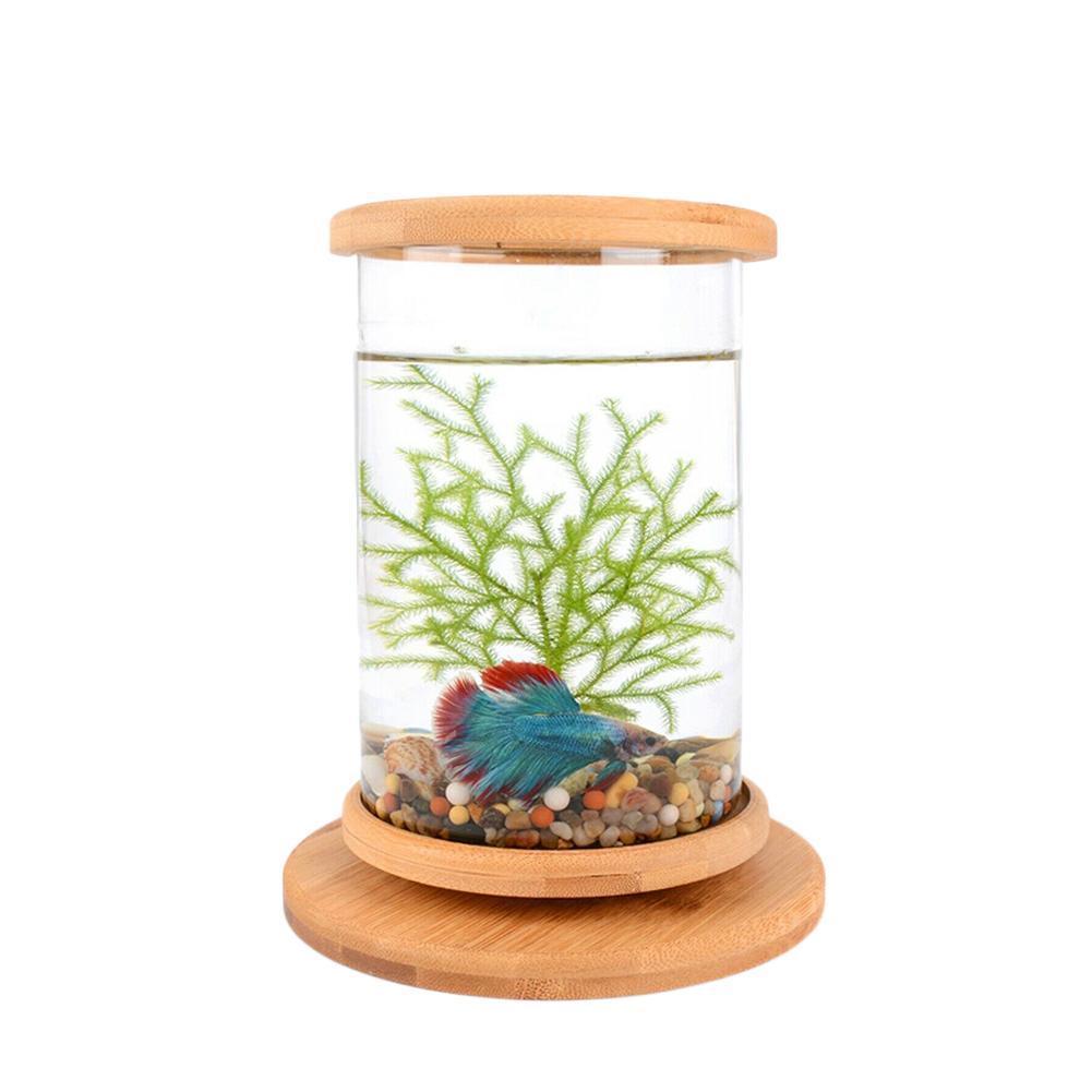 Aquários mini tanque de peixes de vidro Base Base Tanque de peixes Decoração Gire a decoração de peixes Acessórios de aquário ecológico 2201007