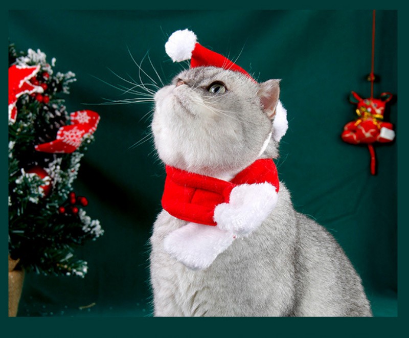 Hondenkleding hoed honden sjaal kerstpak huisdier knappe rode hondenkattenpakken