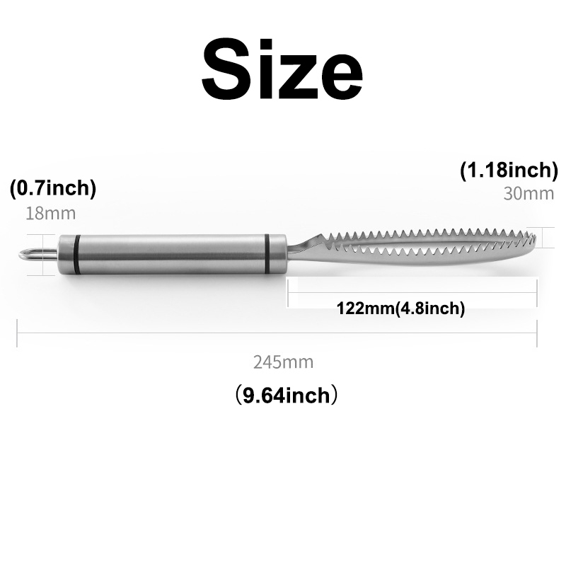 Viande volaille outils efficaces écailles de poisson grattage inoxydable r pour nettoyer la peau brosse éplucheur dissolvant 221010