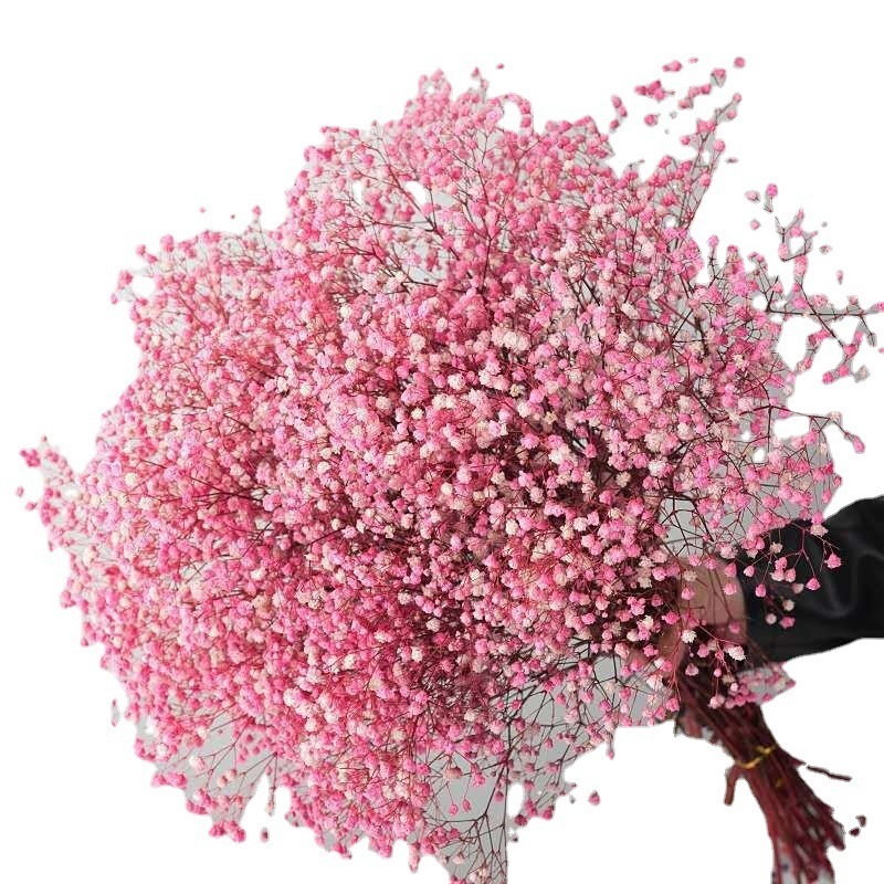 Faux Floral Greenery Natural Dried Flowers Gypsophila Bouqet Eternal Flower Arrangement In Vase Babys Breath Flowers for Decoration DIY Wedding Home 221010