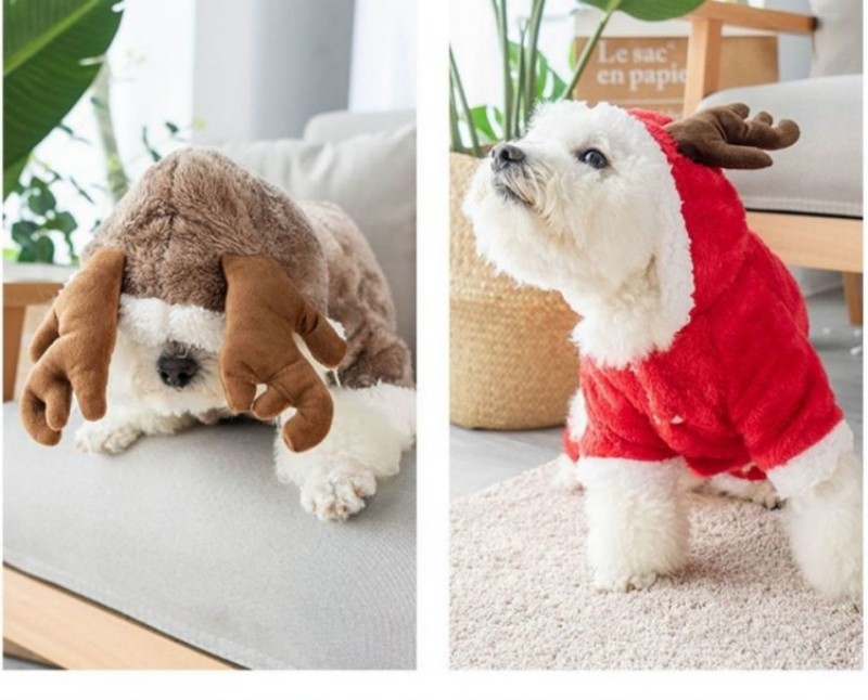 Abbigliamento cani Dogsini vestiti cani addensati gatto orsacchiotto a quattro zampe corpo che cambia cuccioli animali domestici peluche autunno e inverno