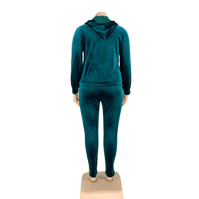 Artı Boyutu Eşofman Kadın Moda Kapüşonlu Sweatshirt ve Dipleri Set Kadife Kıyafetler İki Parça Pantolon Ücretsiz Gemi