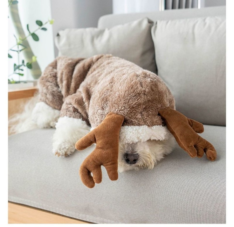 Abbigliamento cani Dogsini vestiti cani addensati gatto orsacchiotto a quattro zampe corpo che cambia cuccioli animali domestici peluche autunno e inverno