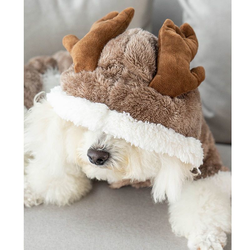 Abbigliamento cani Dogsini vestiti cani addensati gatto orsacchiotto a quattro zampe corpo che cambia cuccioli animali domestici peluche autunno e inverno