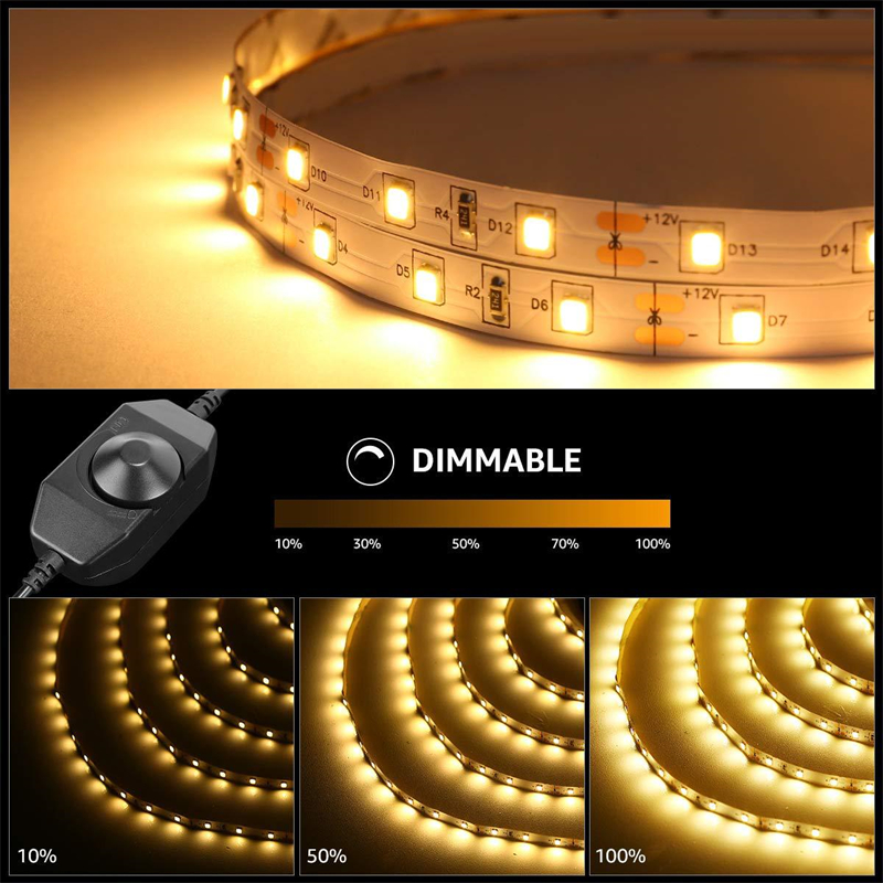 164 قدمًا 5M LED LED Strip Lights 600leds 2835 TAPE TAPE LIGHT مع محول الطاقة للمطبخ المنزلي تحت ضوء النهار غرفة نوم الخزانة 8145622