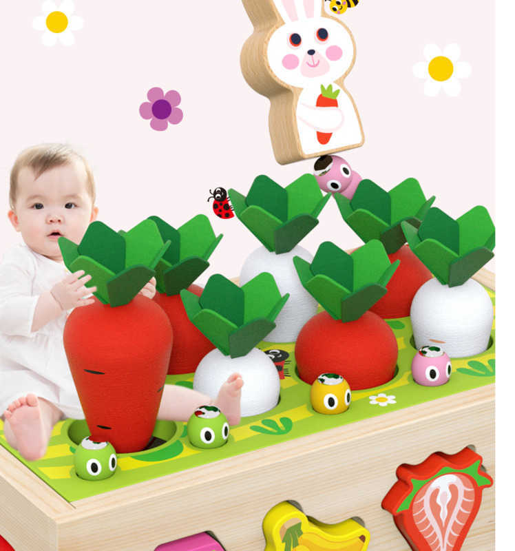 Educational Educational Toy Farm Orchard Shape Bloco de Bloco de Bloco de Bloco Combinando Captura de Insetos Puxando Rabos Desmontados e Montagem