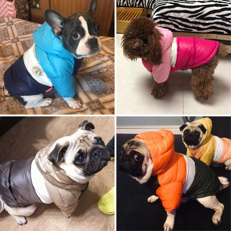 Vestuário para cães roupas de estimação de animais de estimação para roupas de cachorro para casaco de cachorro pequeno, pupp de inverno de inverno para cães roupas de vestuário de fantasia de gato t2221018