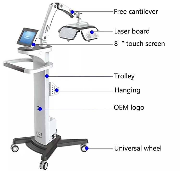 Professionell 650 nm Diode Laser Håravfall Treatment Machine Låg nivå Laser Anti-HAIR Borttagningsinstrument