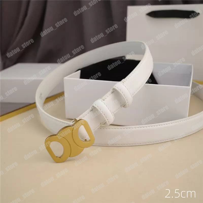 Designer vrouw lederen riemen heren casual tailleband dames gouden gladde gesp koeienhuid riem dames ceinture gordel Cintura U215Q