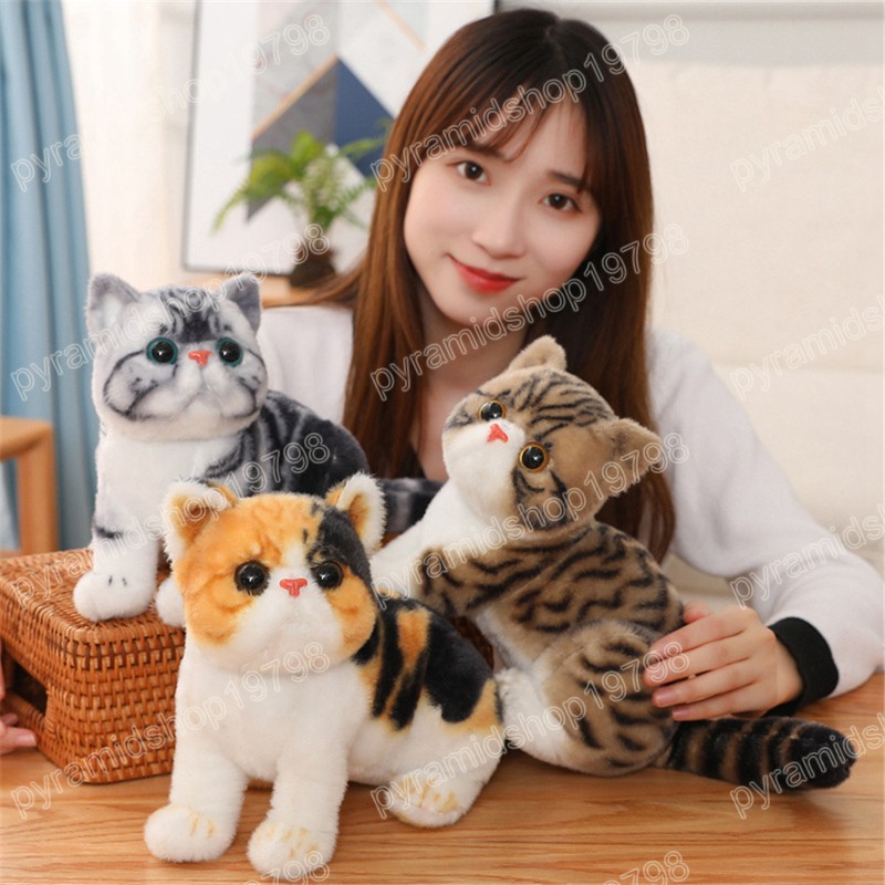 Jouet en peluche de chat de Simulation de 25cm, animaux en peluche réalistes, jouets de poupée pour décoration de chambre d'enfants
