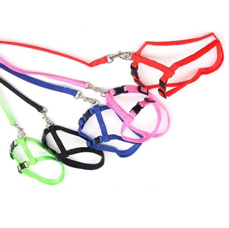 Chien Chat Colliers Harnais Laisse Ensemble Réglable En Nylon Animaux Traction Corde Chiot Chaton Petit Animal Pet Harnais Ceinture De Plomb SN4739