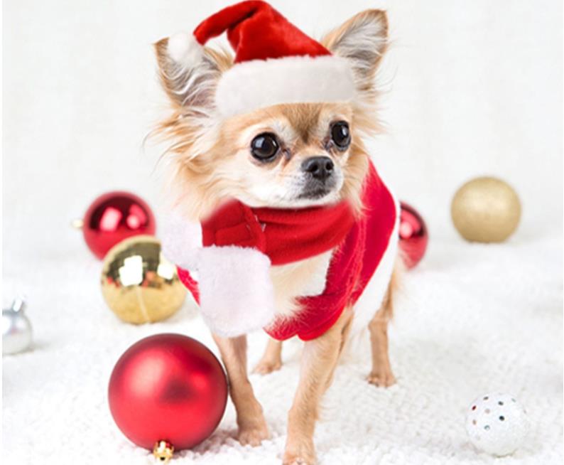 メリークリスマスかわいい犬アパレルスモールプラッシュサンタハットスカーフ服クリスマス装飾子犬子猫猫ハッピーニューイヤーギフトペットサプライアクセサリーSN5009