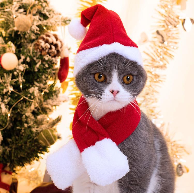 Merry Christmas Cute Dog Apparel Small Plush Santa Hat Scarf Clothes Xmas Decoration Puppy Kitten Cat Cap Happy New Year Gift Pet Supplies Accessories SN5009