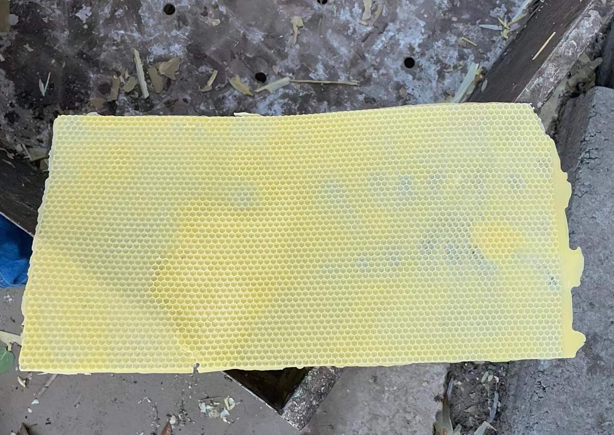 Andra trädgårdsförsörjningar Beeekeeper Soft PVC Beeswax Mold Foundation Bee Hive Basis Press Sheet Mold Beekeeping Tools Set 221028