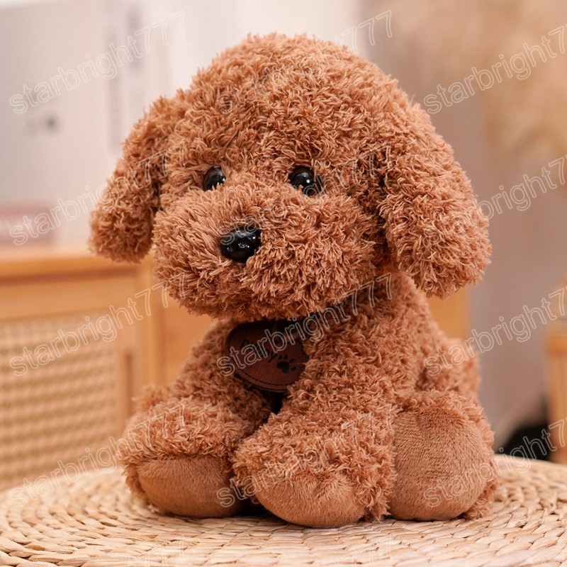 20cm Kawaii Teddy Dog Husky Plush Toys Lovely Bichifed Animals Dog Dolls para beb￪ Presente Infantil
