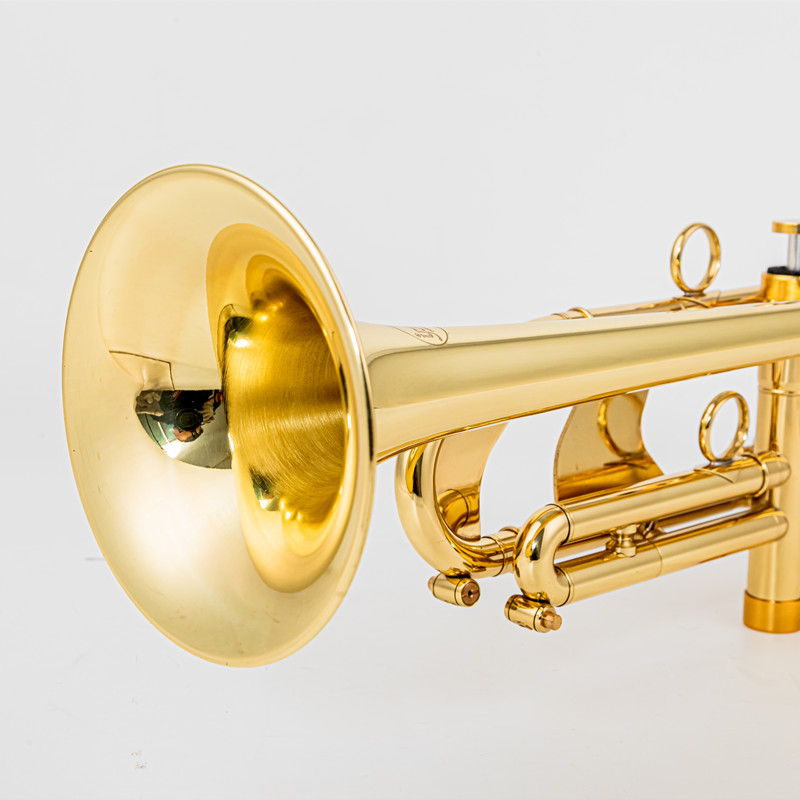 Professional TR700 Bb Trumpet Brass body Gold-Plated B Flat Trumpet Professional Performance Brass Musical Instrument with Brass Body for High-Quality Sound