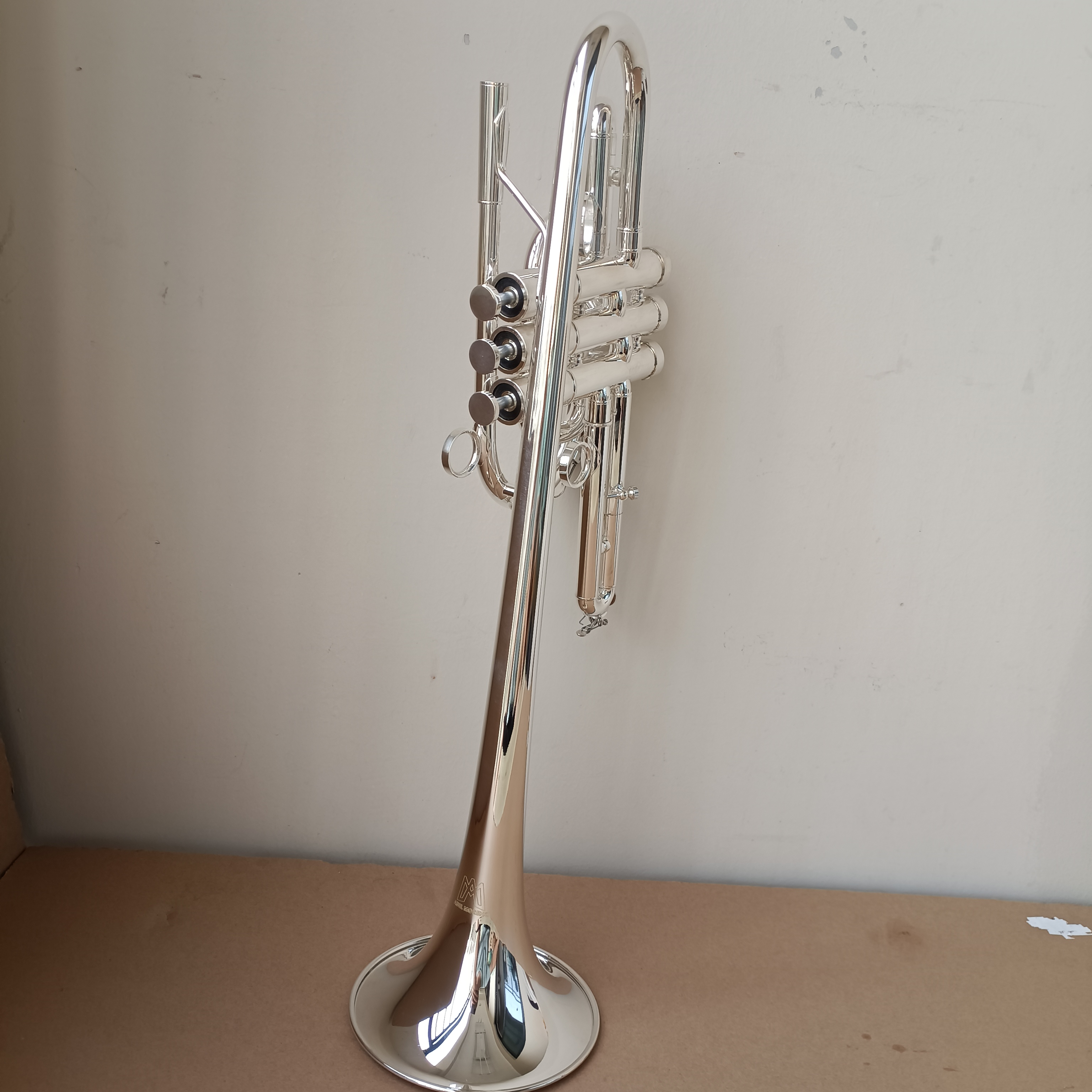 Professional B-Key Silver Plated Marching Trumpet with Premium Case and Accessories