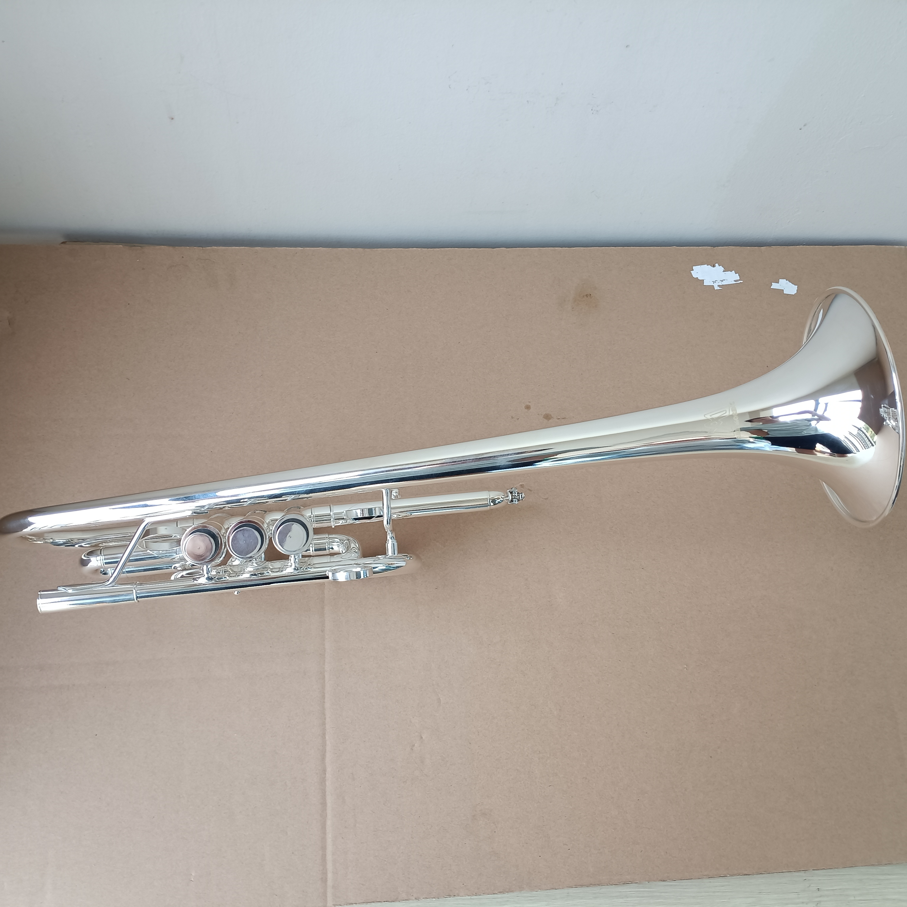 Professional B-Key Silver Plated Marching Trumpet with Premium Case and Accessories