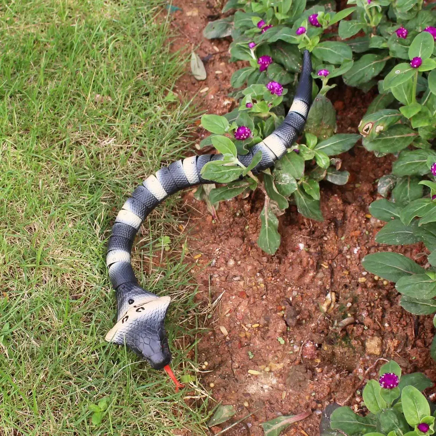 Realistic RC Electric Cobra Snake Toy Infrared... From Mengqiqi07, $5. ...