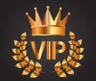 Offre VIP applicable uniquement pour compléter la différence de prix_voghion.com