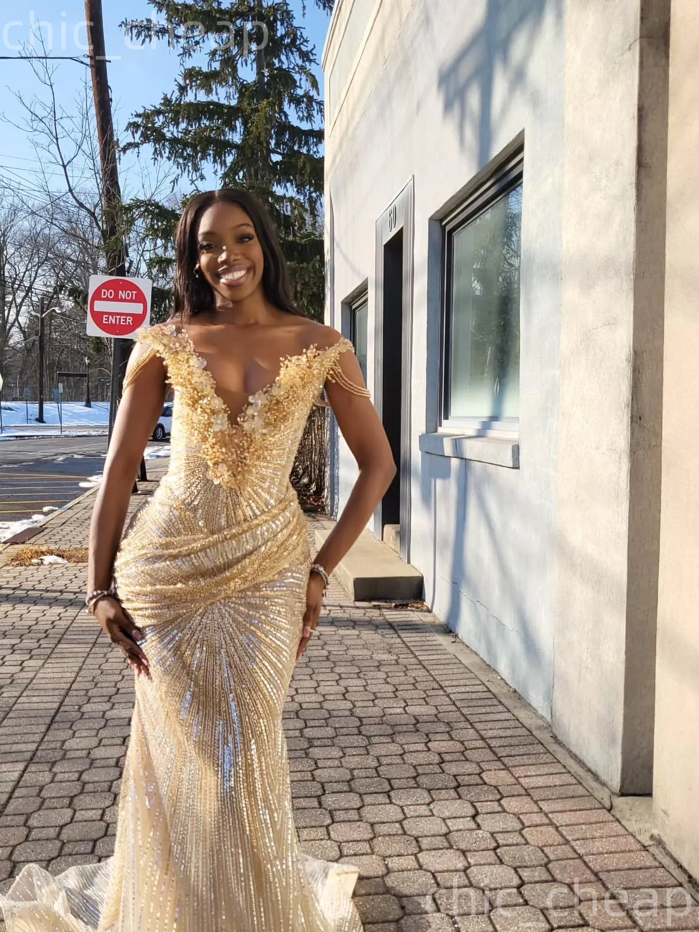 champagne fishtail prom dress Mermaid Champagne Tulle Lace Long Prom Dress Evening Dress PSK169 US16 / Custom Color