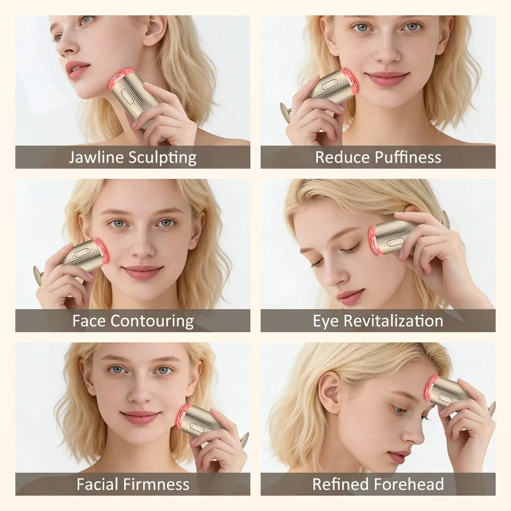 Multifunctional EMS Micro Current Facial Beauty Instrument with Warm ...