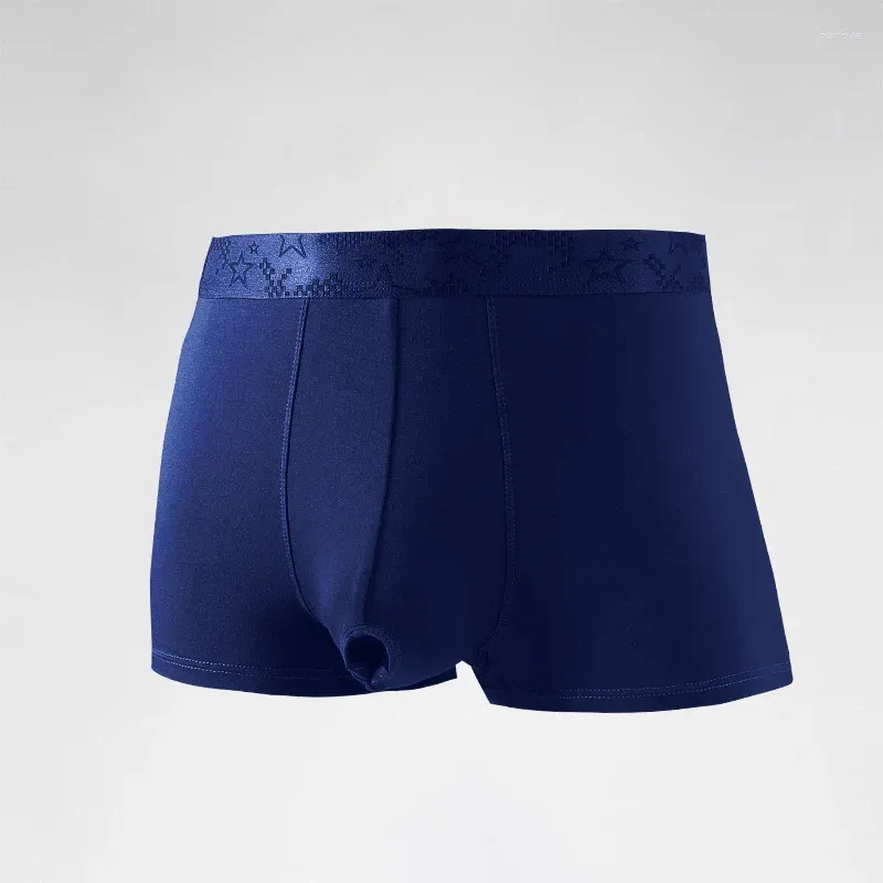 Separation Boxers Men's Foreskin Separation Performance Boxer Briefs With Scrotal Support ...