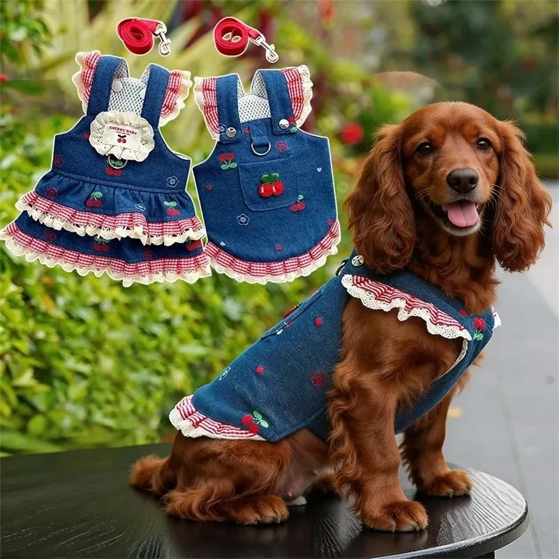 Denim Dog Dress with Adjustable Leash Set, Jeans Pet Clothes for Small Dogs and Cats, Cute Puppy Summer Vestido, Kitten Walking Harness