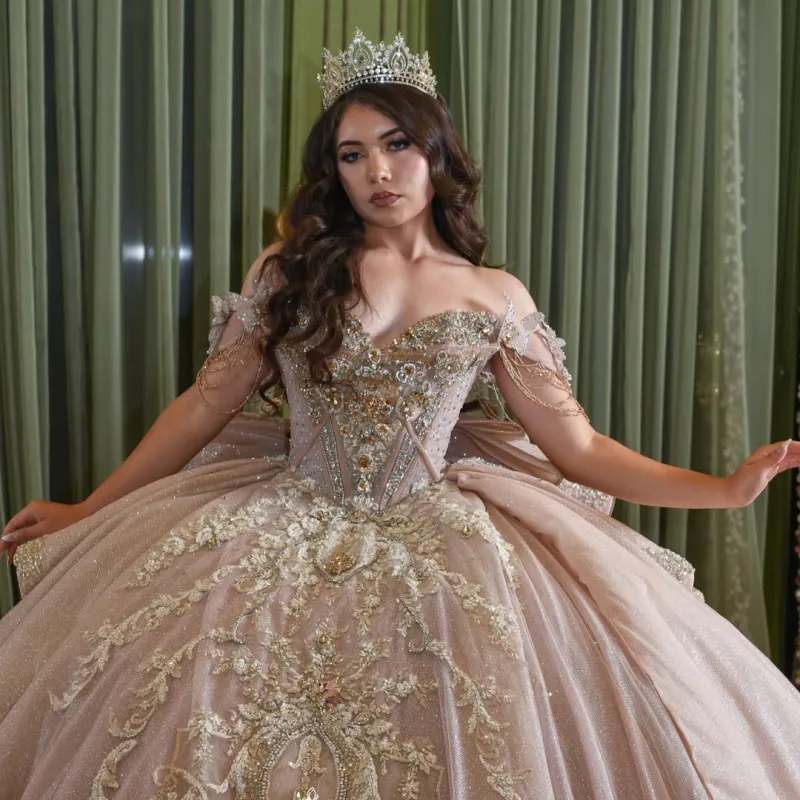 quinceanera dresses brown Off Shoulder Light Ball Gold Ball... From Leiel123, Rs.29,517.44 Roseberry Sylvanian Families Freya Freya's Color:As photo-Black knee length