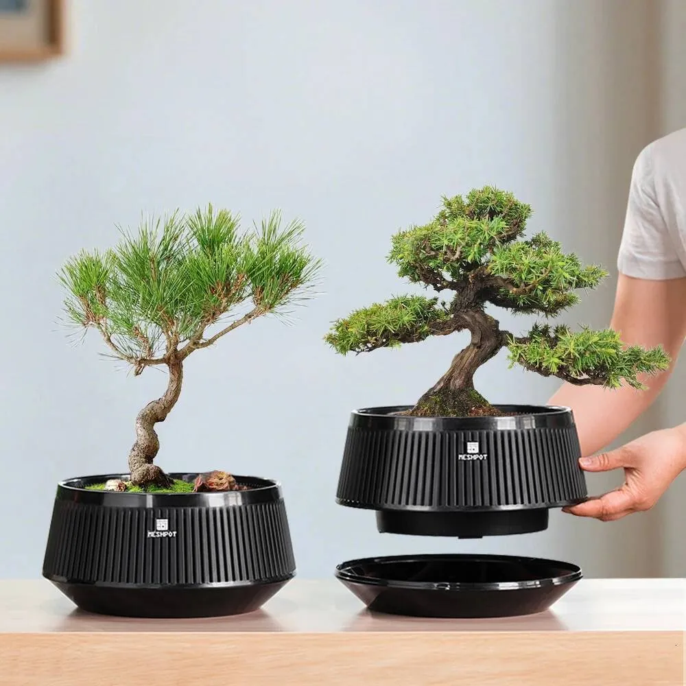 Air Pruning Tree Pot: Choosing the Right Size & Drainage