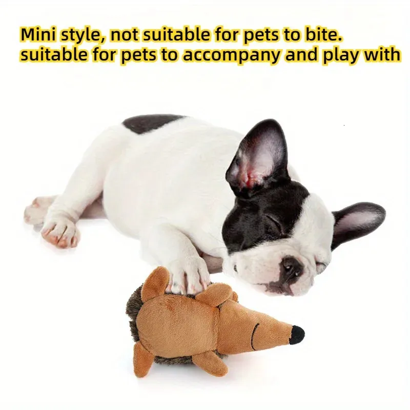 Squeaky Hedgehog Plush Dog ToySoft Durable Chew... From 15,01 | DHgate Squeaky Hedgehog Plush Dog ToySoft Durable Chew... From 15,01 | DHgate