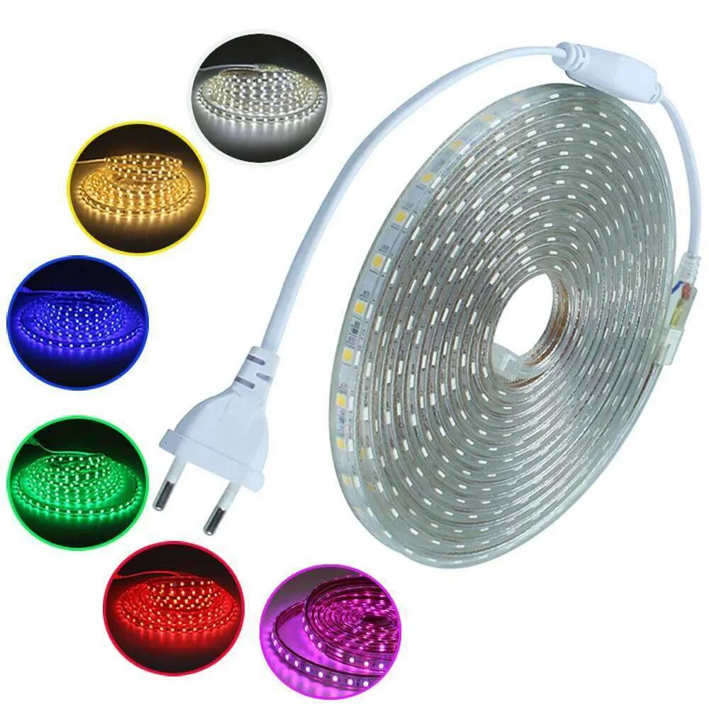 Standard Plug Led Light String AC 220V EU Plug LED Strip Light SMD 120 LEDs/M IP65 Waterproof Flexible ...