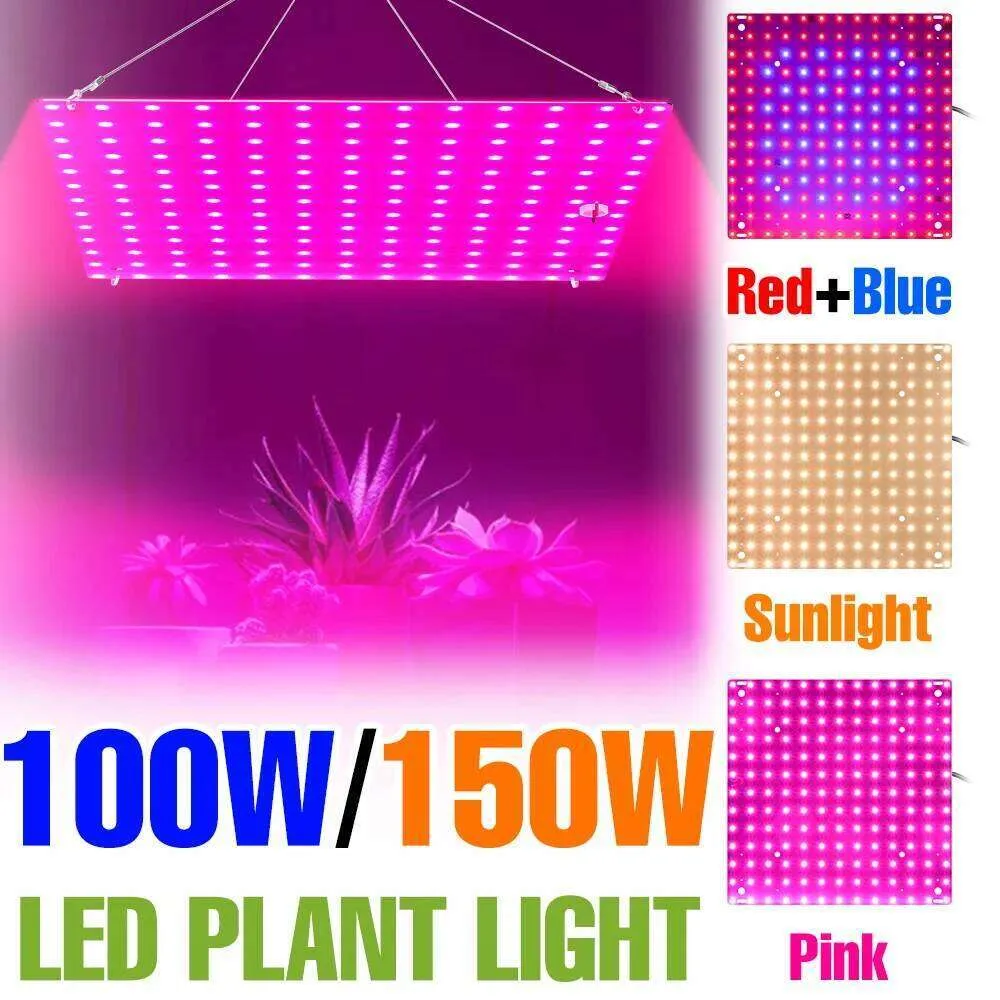 150W Full Spectrum LED Grow Light Square Shape 220V Indoor Plant Lamp ...