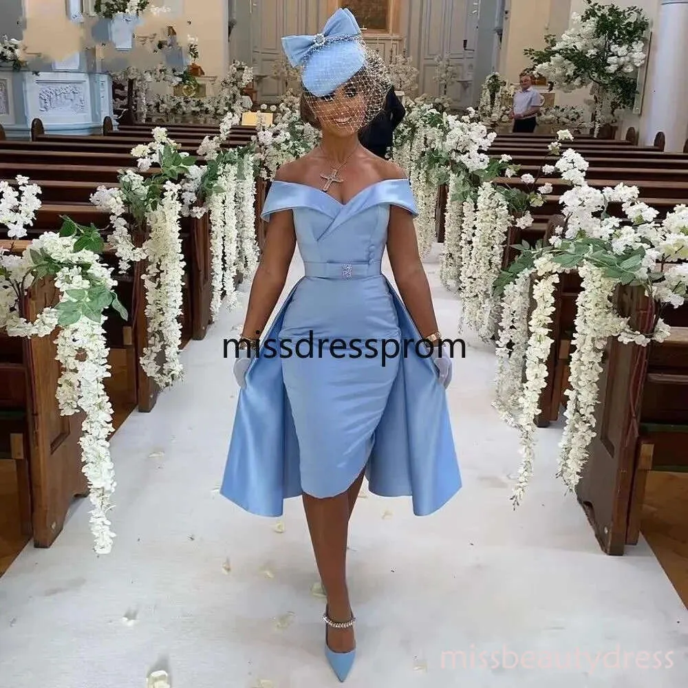 sky blue mother of the bride dress Sky Blue Long Sleeves A-Line Mother Of Bride Dress