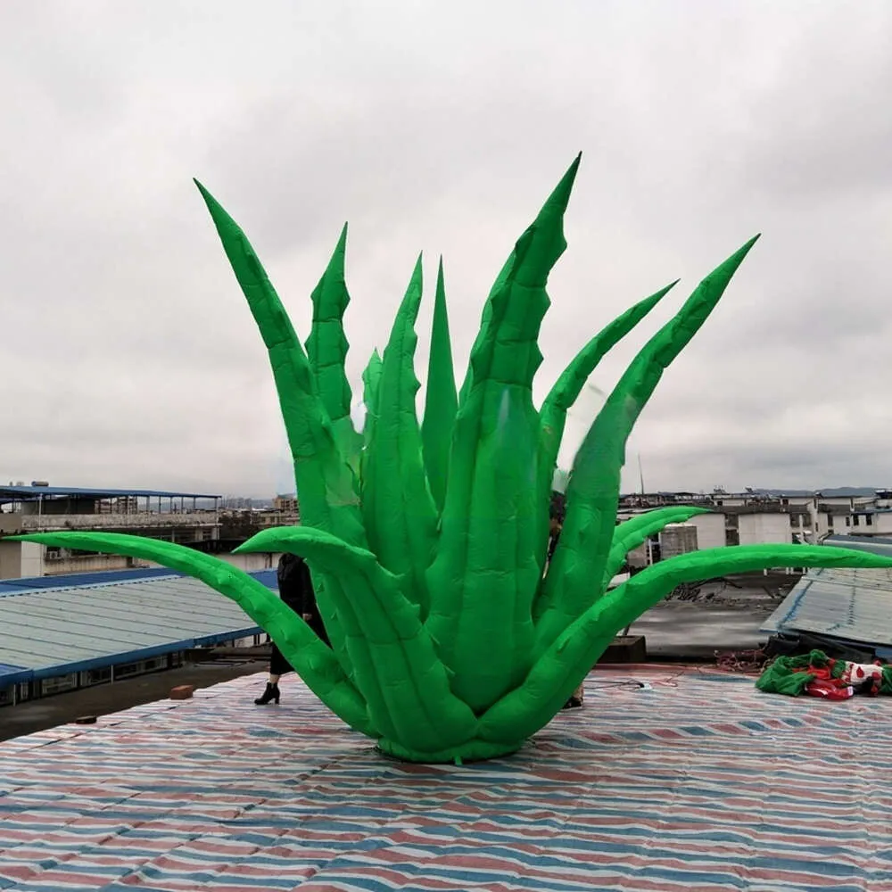 aloe vera trinkgel freedom Forever Freedom
