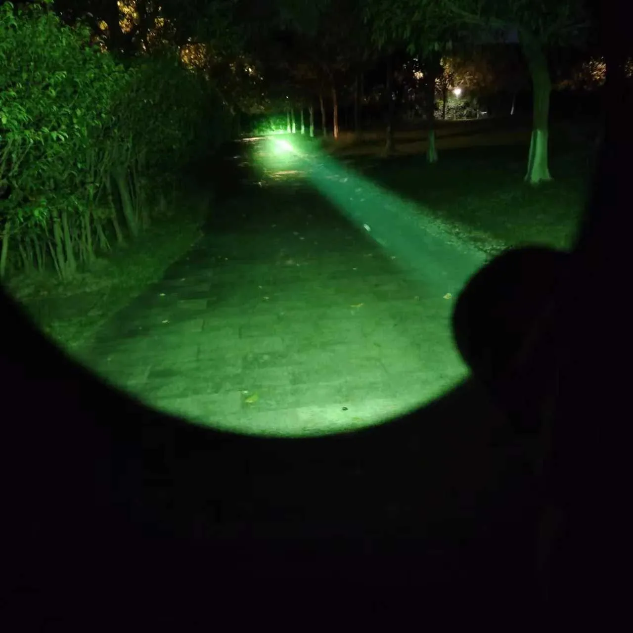 KP Plus With Convoy C8 CSLNM1F1 Green Light Torch From Gin5743