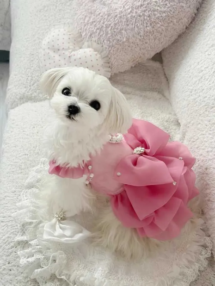 princess dog dress Black Princess Dog Party Dress | Poshdoglife.com