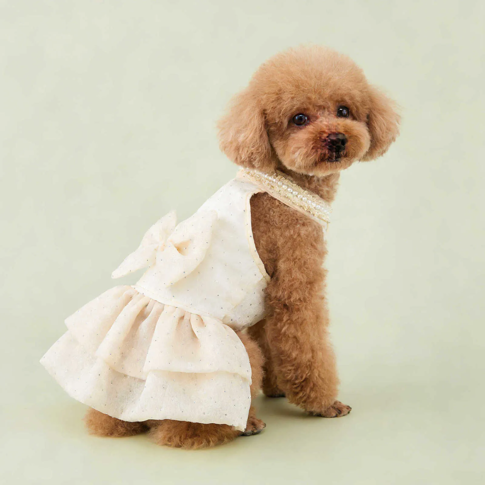 luxury dog dresses Sucado Elegant Champagne Dress with Bow Fashion Pet Dog Clothes Pet Wedding Dress Princess Lace Puppy Birthday Part J260704 Elevate your little ones style with our elegant pink tulle dress UOSIA Formal Dog Dresses for