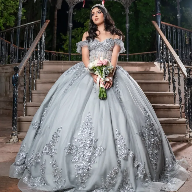 Light Gray Quinceanera Dresses Ball Gown Sweet 16 Dress Appliques Crystals Decal Birthday 15th Party Gown Lace-Up Bow Vestidos De 15 Quinceanera