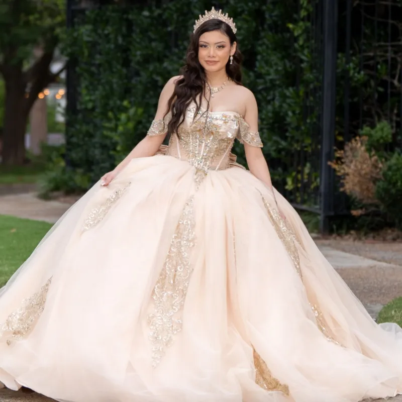 champagne sweet sixteen dresses Light Quinceanera Ball Gown Sweet... From Weiwei12345, Rs.32,728.1 Champagne rose gold quinceanera Color:Lilac Multi* Icon: Moisture Wicking What Color Pantyhose With detailed embroidery