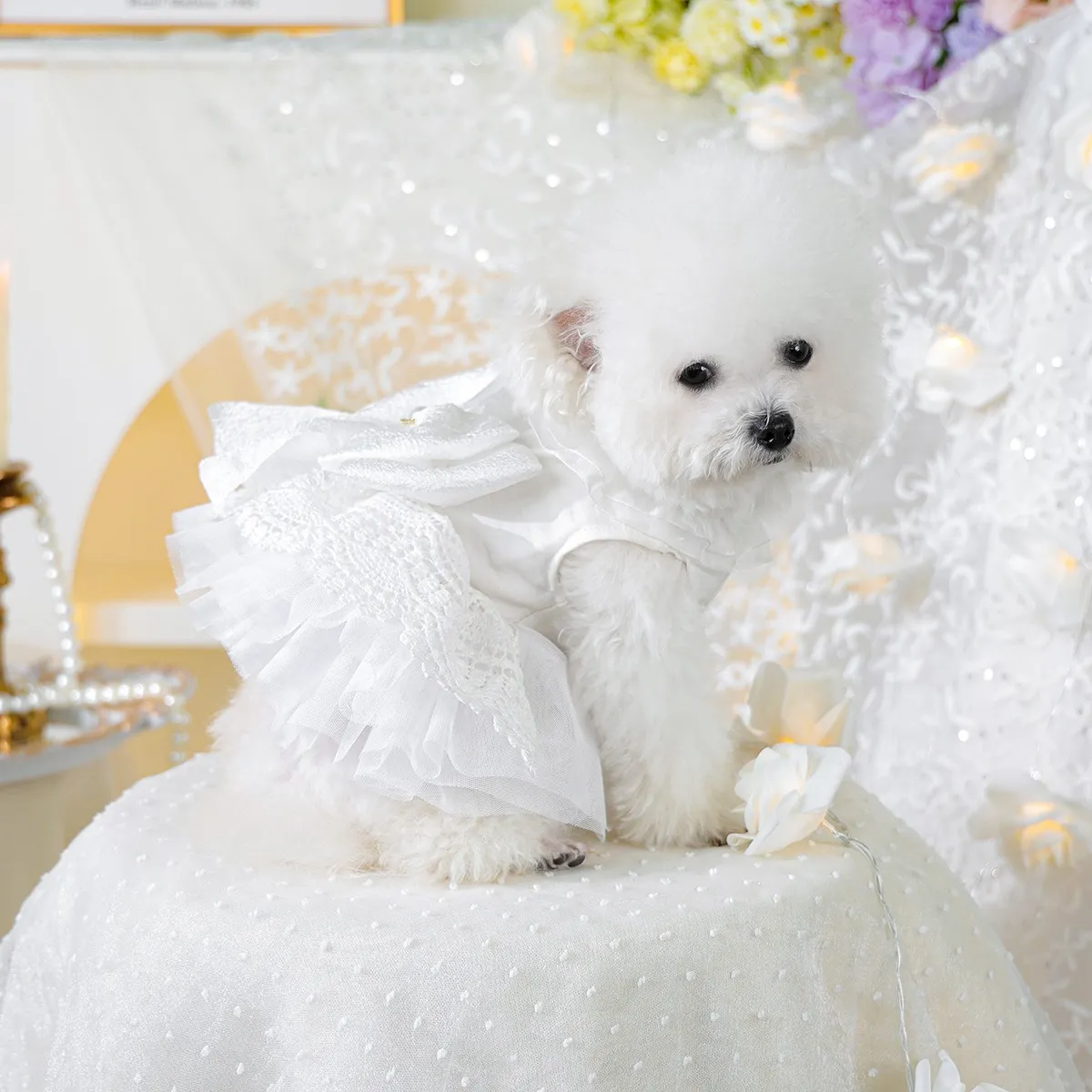 dog wedding dress Miniature Poodle Dog Wedding Dress