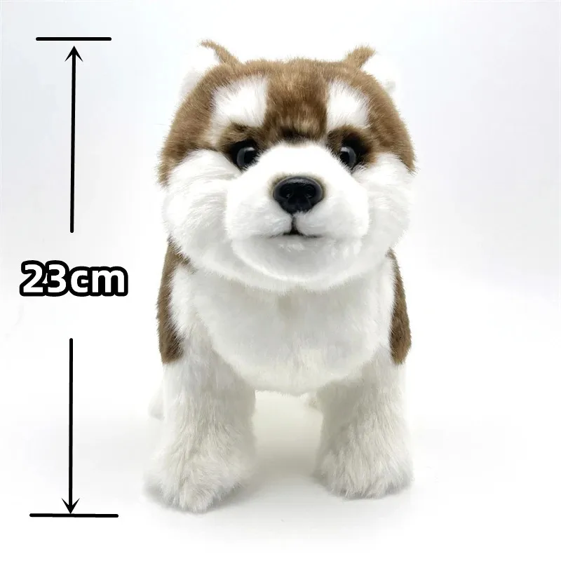 アラスカンマラミュートぬいぐるみ犬のおもちゃ、茶色と白の立っている