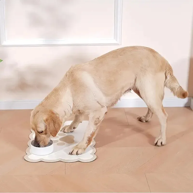 amazon elevated dog bowls Hearth & Haven Elevated Bowl Large + Tall