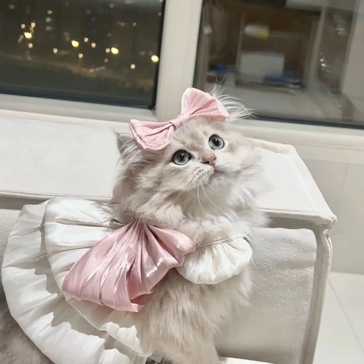 cat dress design Adorable Pet Spring Summer Style Dog Halter... From 10,53 € Size:Child-11 META Hippie Rainbow Cotton Slub Three cats fabric