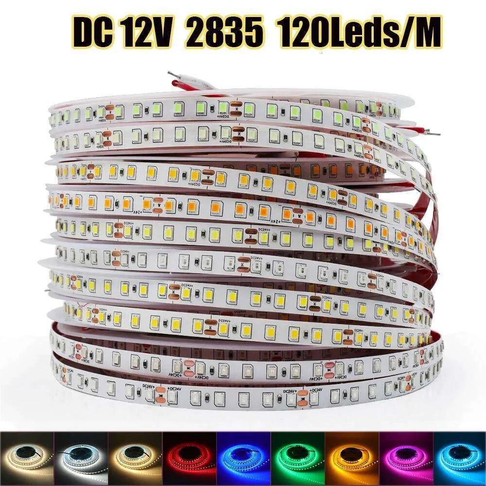 12 Volt DC LED Strip Light 2835 SMD 120 LEDs/M Multi-Color Flexible ...